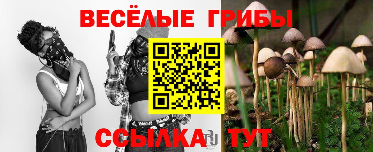 Псилоцибиновые грибы мухоморы Белогорск