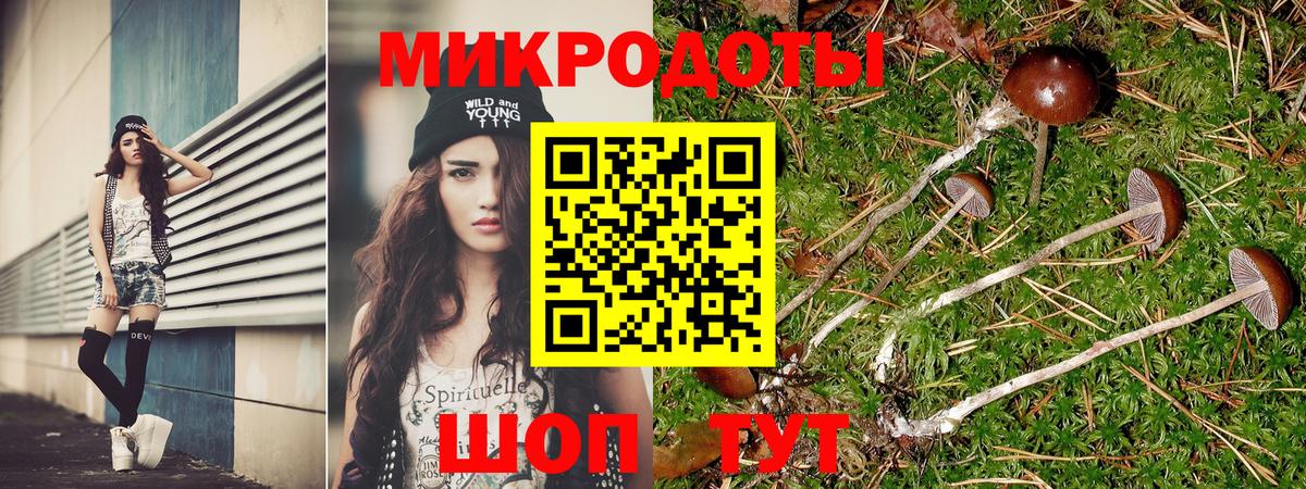 Псилоцибиновые грибы GOLDEN TEACHER  Вход с VPN  Белогорск 